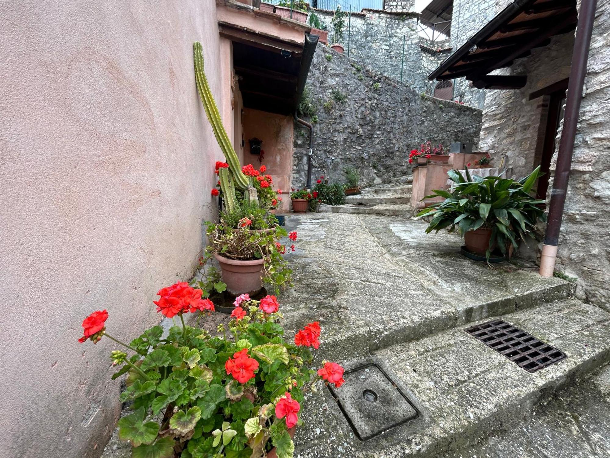 Appartamento Storico A Valle San Martino Di 斯波莱托 外观 照片